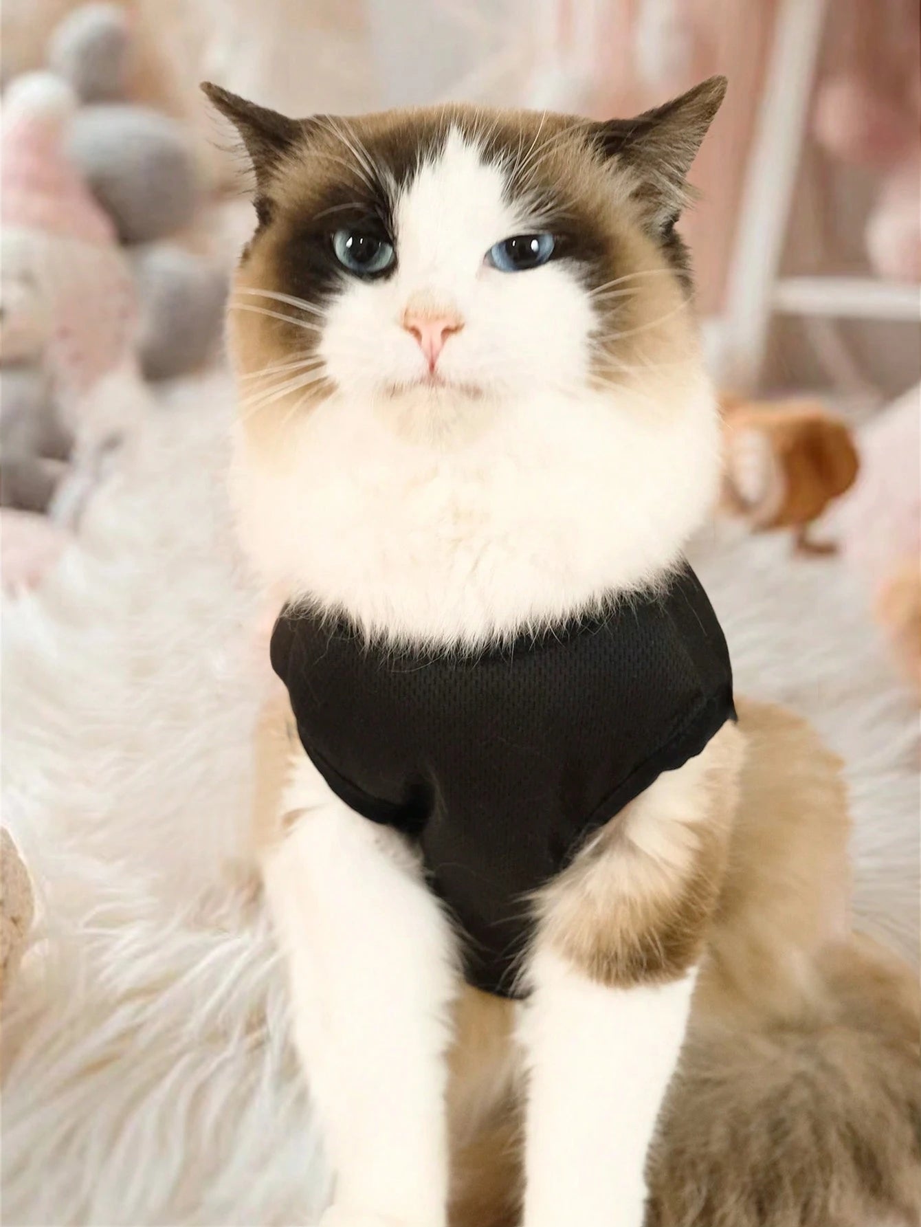 1Pc Pet Dog/Cat Sleeveless Printed Letter Vest, Breathable Summer Thin Pet Clothes for Poodle, Pug, Corgi